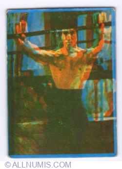 Image #1 of 103 - Bruce Lee