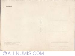 sibiu-turnurile breslelor ( gravura cu acul)