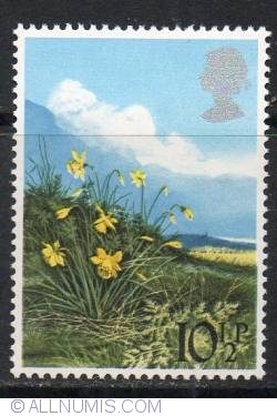 10 1/2 Pence Daffodil
