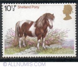 10 1/2 Pence Shetland Pony
