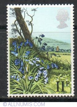 Image #1 of 11 Pence Bluebell