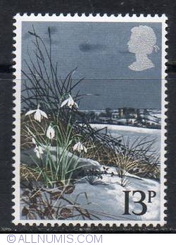 Image #1 of 13 Pence Snowdrop