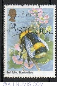 17 Pence - Buff tailed bumble bee