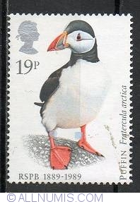 Image #1 of 19 Pence - Atlantic Puffin