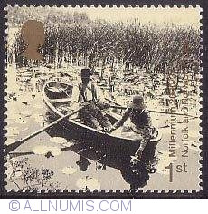Image #1 of 1st - Gathering Water Lilies on Broads