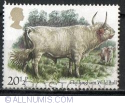 Image #1 of 20 1/2 Pemce Chillingham Wild Bull