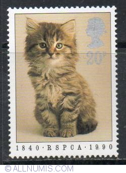 Image #1 of 20 Pence - Kitten