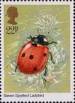 1 : 22 Pence - Seven spotted ladybird