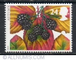 Image #1 of 24 Pence - Blackberries