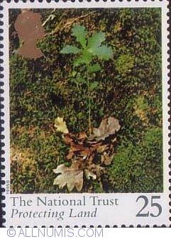 25 Pence - Oak Seedling