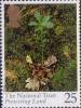 1 : 25 Pence - Oak Seedling