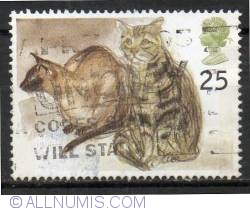 Image #1 of 25 Pence - Puskas (Siamese) and Tigger (tabby)
