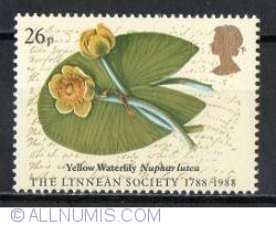 Image #1 of 26 Pence - Yellow Waterlily (Major Joshua Swatkin)