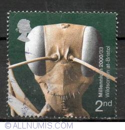 2nd - Head of Gigantios descructor (Ant)
