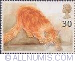 Image #1 of 30 Pence - Choe (ginger cat)