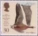 1 : 30 Pence - White fronted Goose