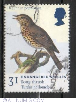 Image #1 of 31 Pence - Song Thrush