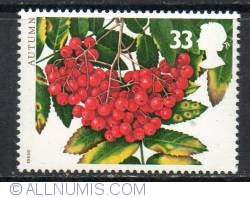 33 Pence - Rowanberries