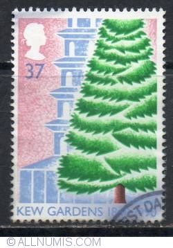 Image #1 of 37 Pence - Cedar Tree and Pagoda