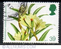 39 Pence - Dendrobium vexillarius var. albiviride