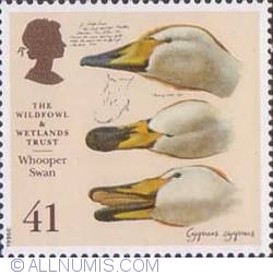 Image #1 of 41 Pence - Whooper Swan