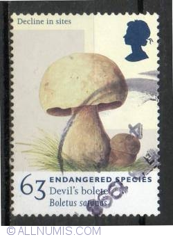 Image #1 of 63 Pence - Devil's Bolete
