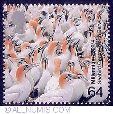 Image #1 of 64 Pence - Cape Gannets