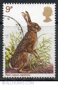 Image #1 of 9 Pence Brown Hare