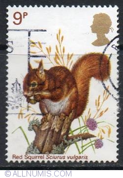 9 Pence Red Squirrel