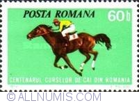 60 Bani - Centenarul curselor de cai din România