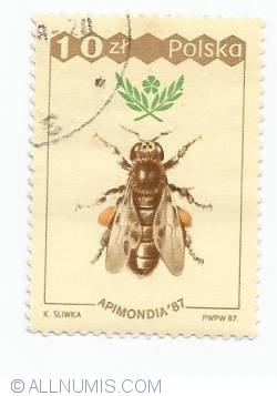 Image #1 of 10 Zlotych - Apimondia - bee