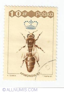 Image #1 of 10 Zlotych Apimondia - Queen bee
