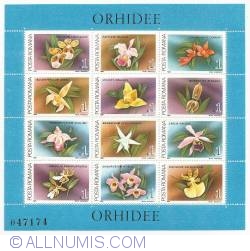 12 x 1 Leu - Orhidee