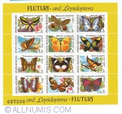 12 x 3 Lei - Butterfly