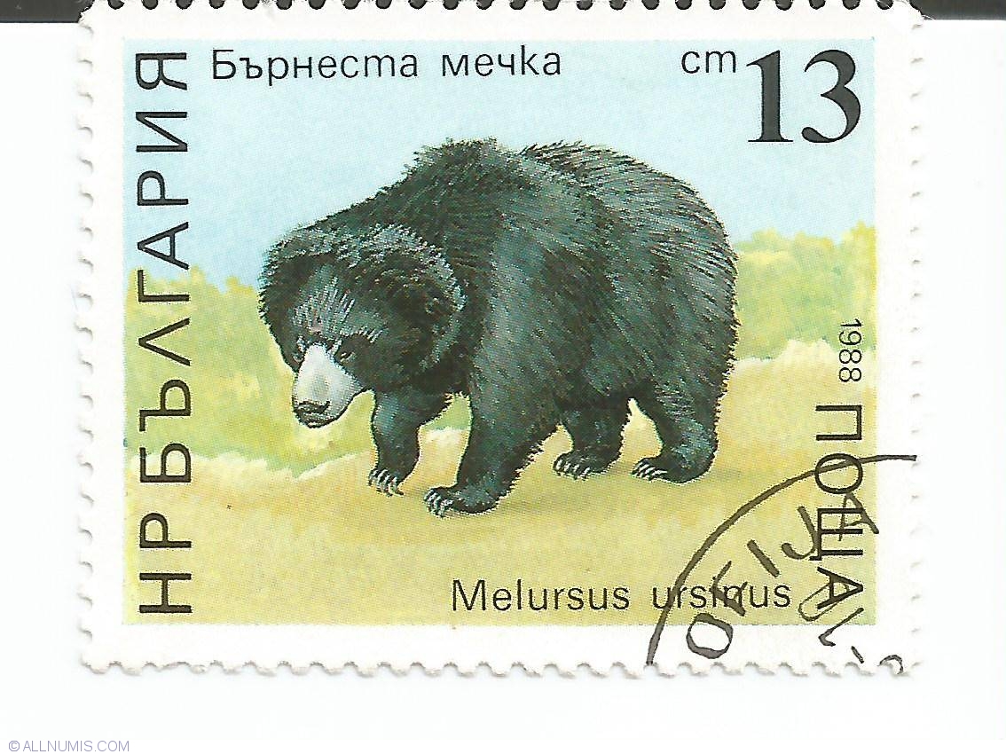 Bears 2 shop. Марка Болгария 1988 медведь. Марки Монголии медведи. Болгарский медведь. Марки Болгарии с мишками.