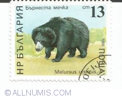 Image #1 of 13 stotinki - Bear