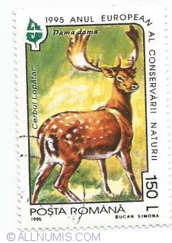 Image #1 of 150 Lei - The deer