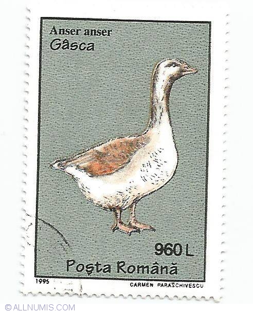 datând timbrele australiene)
