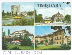 Timișoara - Colaj