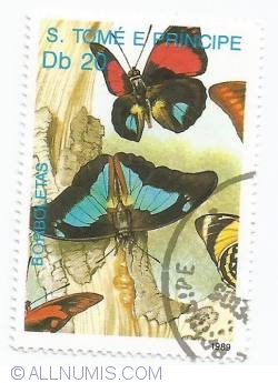Image #1 of 20 Dobras - Fluturi