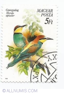 Image #1 of 5 Forint - Merops apiaster