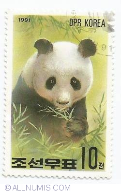 Image #1 of 10 Chon - Panda