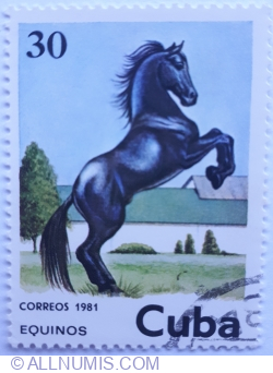 Image #1 of 30 Correos 1981 - Horse (Equinos)