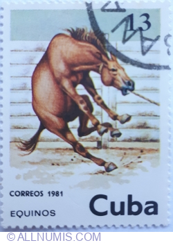 Image #1 of 13 Centavos 1981 - Horse (Equinos)