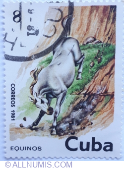Image #1 of 8 Centavos 1981 - Horse (Equinos)