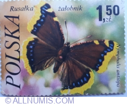 Image #1 of 1.5 Zloty 1977 - Rusalka zalobnik (Nymphalis antiopa)
