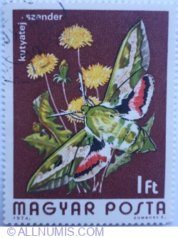 Image #1 of 1 Forint 1974 - Spurge Hawk-moth (Celerio euphorbiae)