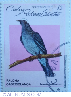 Image #1 of 13 Centavos 1979 - Paloma Cabeciblanca (Columba Leucocephala)