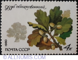 Image #1 of 4 Kopeks 1980 - Stejar pedunculat (Quercus robur)