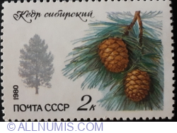 Image #1 of 2 Kopeks 1980 - Cedru siberian (Pinus sibirica)